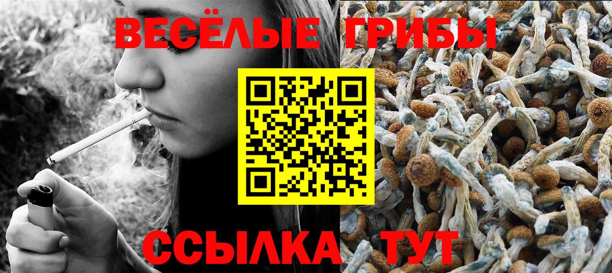 Псилоцибиновые грибы Magic Shrooms Кинешма