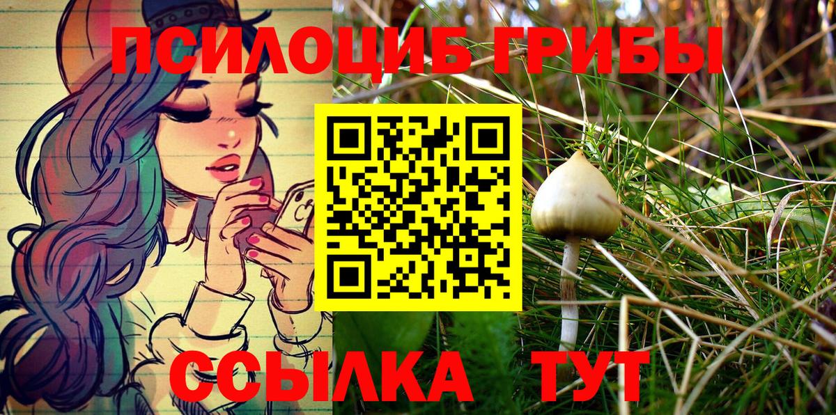 Кинешма  где можно купить   Вход с VPN  Галлюциногенные грибы ЛСД 