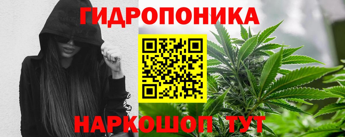Бошки Шишки гибрид  Шишки марихуана Bruce Banner  Конопля Bruce Banner  Вход с VPN  Конопля THC 21%  Кинешма 